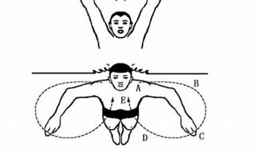 蛙泳的正确姿势是什么怎样游好蛙泳_蛙泳的正确游泳姿势