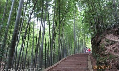 蜀南竹海一日游攻略_宜宾蜀南竹海一日游攻略