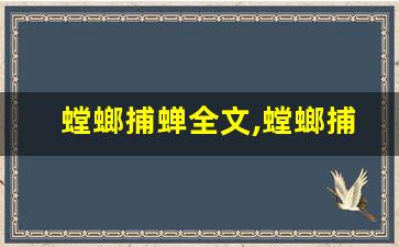 螳螂捕蝉全文,螳螂捕蝉讲了什么,螳螂捕蝉经典句子-第1张图片-我的生活随想
