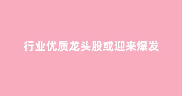 行业优质龙头股或迎来爆发