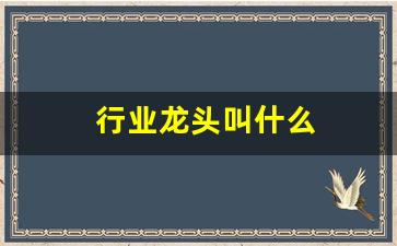 行业龙头叫什么(行业龙头什么意思)_https://www.eamstsz.com_上交所_第1张