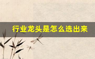 行业龙头是怎么选出来的(行业龙头是怎么选出来的呀)_https://www.luoxuangg888.com_创业板_第1张