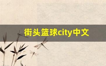 街头篮球city中文版-《街头篮球》