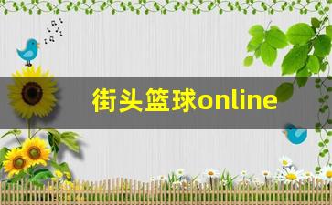 街头篮球(单机版)-街头篮球online