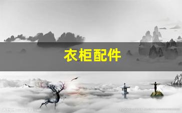 衣柜配件五金品牌排行-衣柜配件