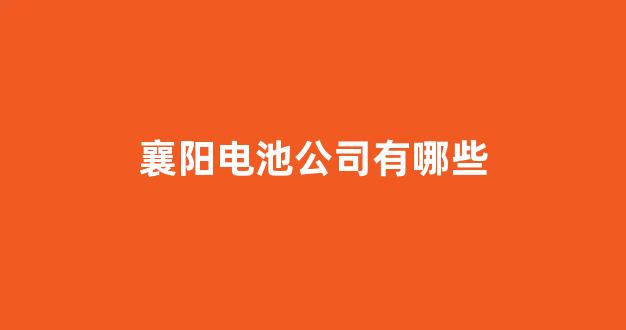 襄阳电池公司有哪些(襄阳锂电池企业有哪些)_https://www.jnskb.com_设计报价_第1张