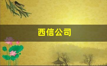 西信公司(西信公司 谢飞)_https://www.heiljjianzu.com_创业板_第1张