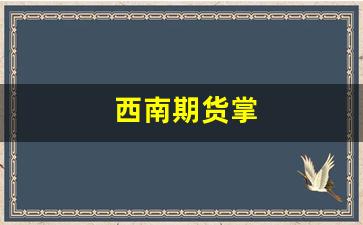 西南期货掌(西南期货有限公司官网)_https://www.xzdzcjx.com_北交所_第1张