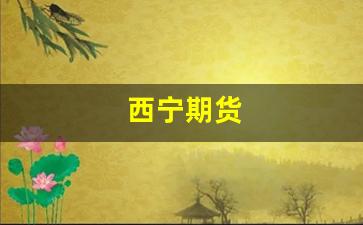 西宁期货_https://www.xzdzcjn.com_北交所_第1张