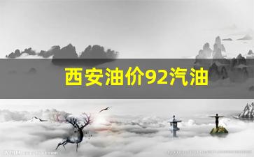 西安92号油价格-西安油价92汽油