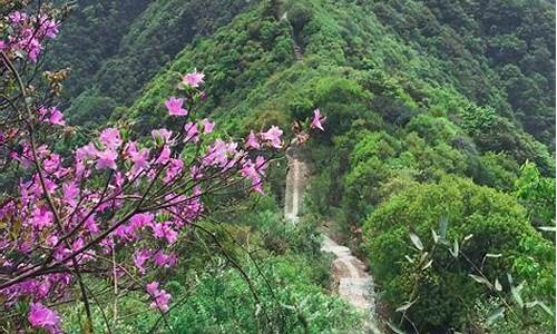 西山森林公园爬山路线_西山森林公园爬山路线图