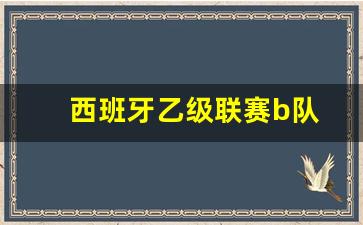 西班牙乙级联赛b队-西班牙乙组联赛bds