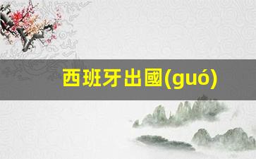 西班牙出國(guó)留學(xué)(西班牙出國(guó)留學(xué)費(fèi)用)