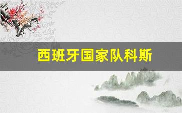 西班牙国家队科斯塔-西班牙国家队科斯