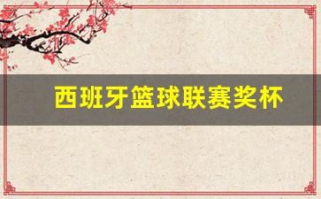 西班牙篮球联赛奖杯-西班牙篮球联赛奖杯是什么
