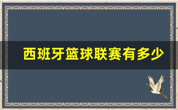 西班牙篮球联赛有多少轮-西班牙篮球联赛什么水平