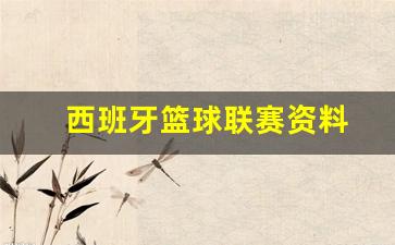 西班牙篮球联赛资料网站-西班牙篮球联赛资料