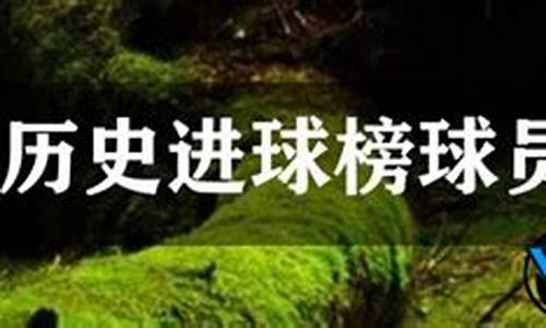 西甲历史进球排行榜_西甲历史进球榜排名最新