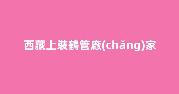 西藏上裝鶴管廠(chǎng)家(鶴管安裝視頻)(1)