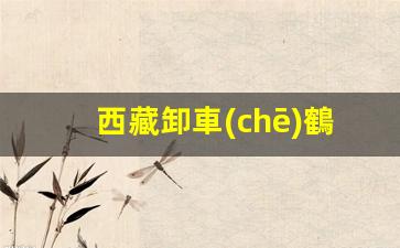 西藏卸車(chē)鶴管廠家(卸車(chē)鶴管的管徑)(1)