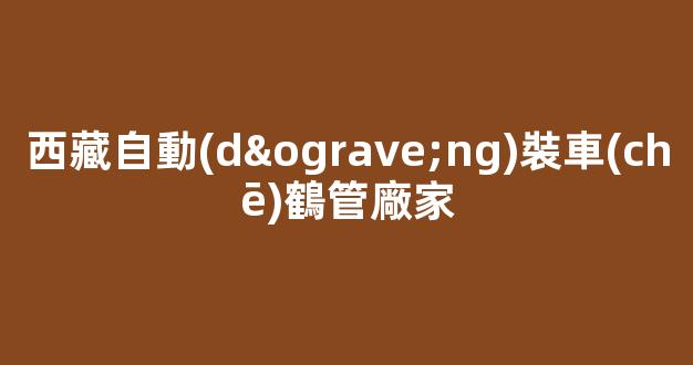 西藏自動(dòng)裝車(chē)鶴管廠家(裝車(chē)鶴管規(guī)格型號(hào))(1)