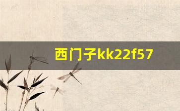 西门子kk22f66ti说明书-西门子kk22f57ti