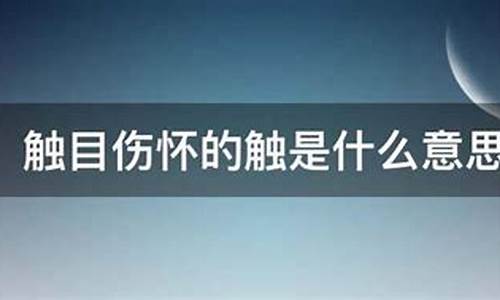 触目伤怀的意思-祸不单行的意思