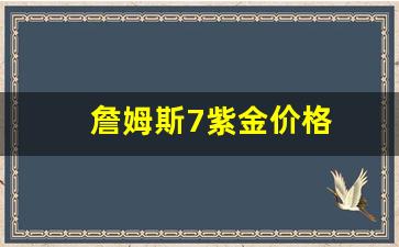 詹姆斯7紫金价格_詹姆斯17紫金