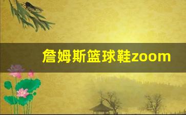 詹姆斯篮球鞋zoom-詹姆斯篮球鞋最新款