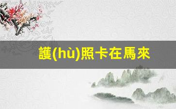 護(hù)照卡在馬來(lái)西亞簽證怎么辦理(護(hù)照卡在馬來(lái)西亞簽證怎么辦理的)
