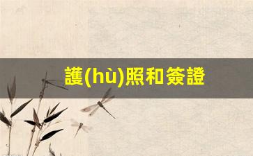 護(hù)照與簽證辦理全攻略，從申請(qǐng)到成功獲取的詳細(xì)步驟