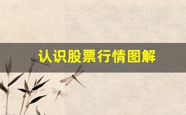 认识股票行情图解(怎样认识股票k线图)_https://www.brunchezvous.com_自由行_第1张