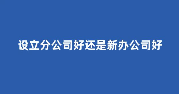 设立分公司好还是新办公司好(成立分公司的好处和弊端)_https://www.brunchezvous.com_自由行_第1张