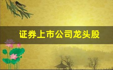 证券上市公司龙头股(证券上市公司龙头股票排名)_https://www.dcjwmf.com_广期所_第1张