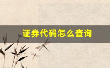 证券代码怎么查询(证券的代码)_https://www.huakunhengjia.com_股票资讯_第1张