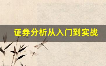 证券分析从入门到实战(证券分析百度百科)_https://www.heiljjianzu.com_上交所_第1张