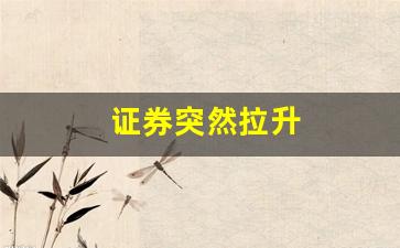 证券突然拉升(证券拉升不是什么好事)_https://www.hangfeite.com_北交所_第1张
