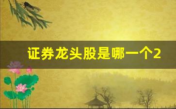 证券龙头股是哪一个2021(证券龙头股票有哪些2020)_https://www.dcjwmf.com_上期所_第1张