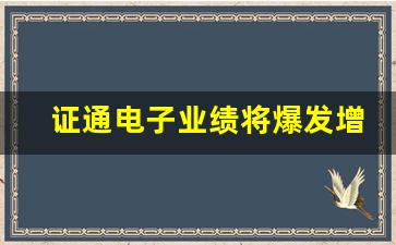证通电子业绩将爆发增长(002197证通电子大利好)_https://www.hangfeite.com_科创板_第1张