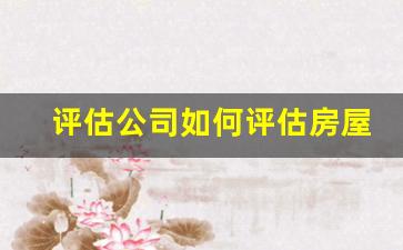 评估公司如何评估房屋的价值(房屋评估费用收费标准2023)_https://www.dcjwmf.com_广期所_第1张