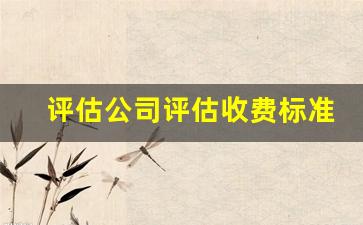 评估公司评估收费标准(拆迁评估公司评估收费标准)_https://www.wanyuyiyao.com_上交所_第1张