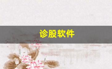 诊股软件(诊股软件是坑人的吗)_https://www.luoxuangg888.com_创业板_第1张