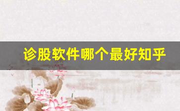 诊股软件哪个最好知乎(诊股准吗)_https://www.heiljjianzu.com_北交所_第1张