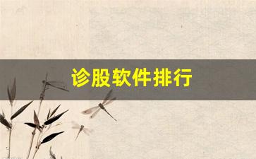 诊股软件排行(诊股软件手机版下载)_https://www.heiljjianzu.com_创业板_第1张