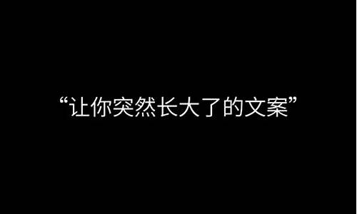 词不达意的下一句是什么意思-词不达意的下一句是什么