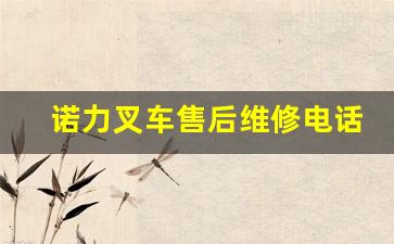诺力叉车售后维修电话(诺力叉车多少钱一台)_https://www.wanyuyiyao.com_北交所_第1张