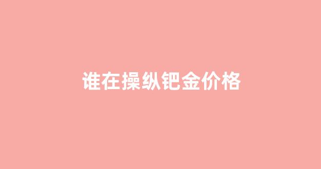 谁在操纵钯金价格_钯金案件