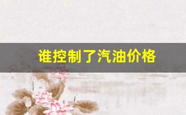 谁控制了汽油价格-是谁在控制油价
