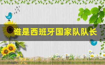 谁是西班牙国家队队长-谁是西班牙国家队队长英文