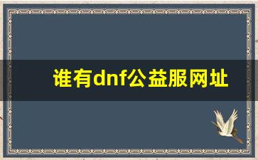 谁有dnf公益服网址(dnf公益服哪个有人气) (3)